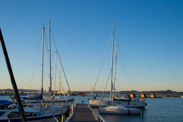 A marina with multiple sailboats docked at the pier.