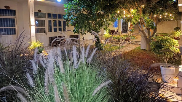 A courtyard with string lights, potted plants, and a tree. - Doi Dua Homestay (Mui Ne)