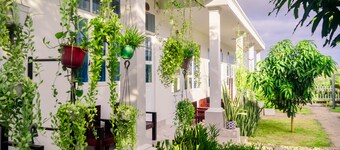 Doi Dua Homestay