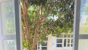 A laptop on a desk with a window view of a tree and a building. - Doi Dua Homestay (Mui Ne)