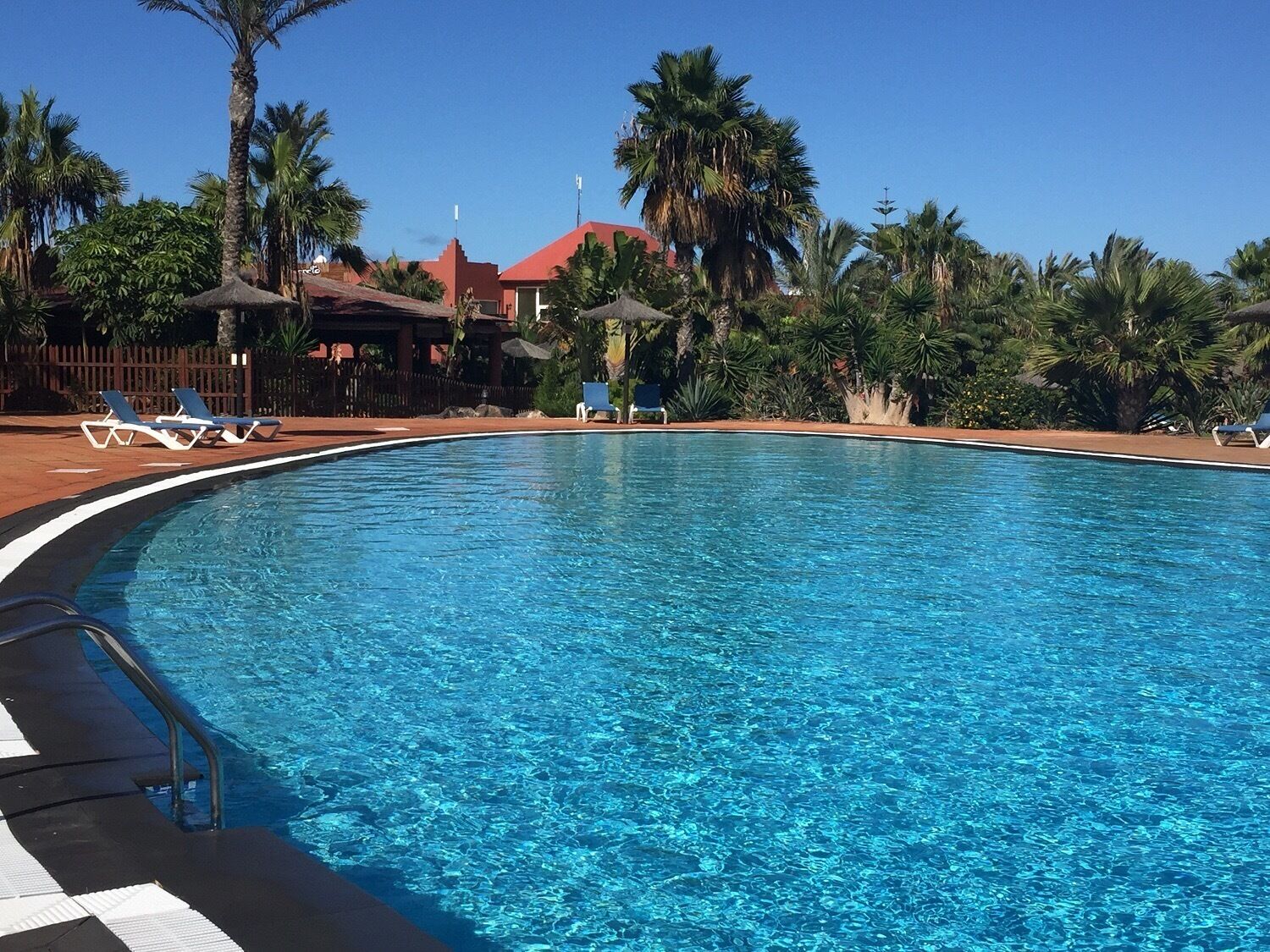 A clear blue swimming pool with lounge chairs and palm trees around.