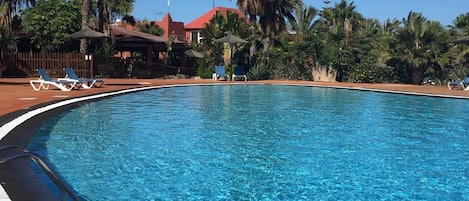 A clear blue swimming pool with lounge chairs and palm trees around.
