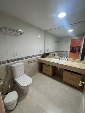 Bañera, secador de pelo y toallas