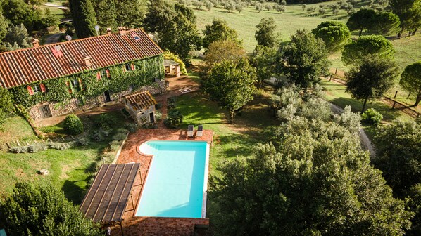 Relax by the pool surrounded by lush greenery and olive trees in this serene villa.