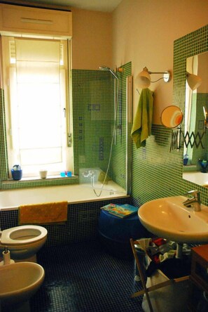 Combined shower/bathtub, hair dryer, bidet, towels