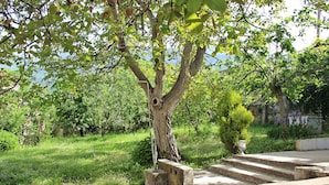 Property grounds - Guest House Vojinovic (Budva)