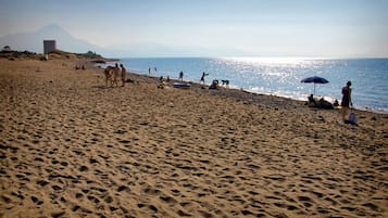 Vlak bij het strand