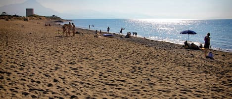 Una spiaggia nelle vicinanze