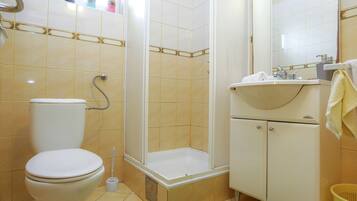 Shower, hair dryer, towels, toilet paper