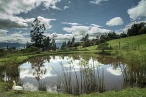 Detalle del exterior