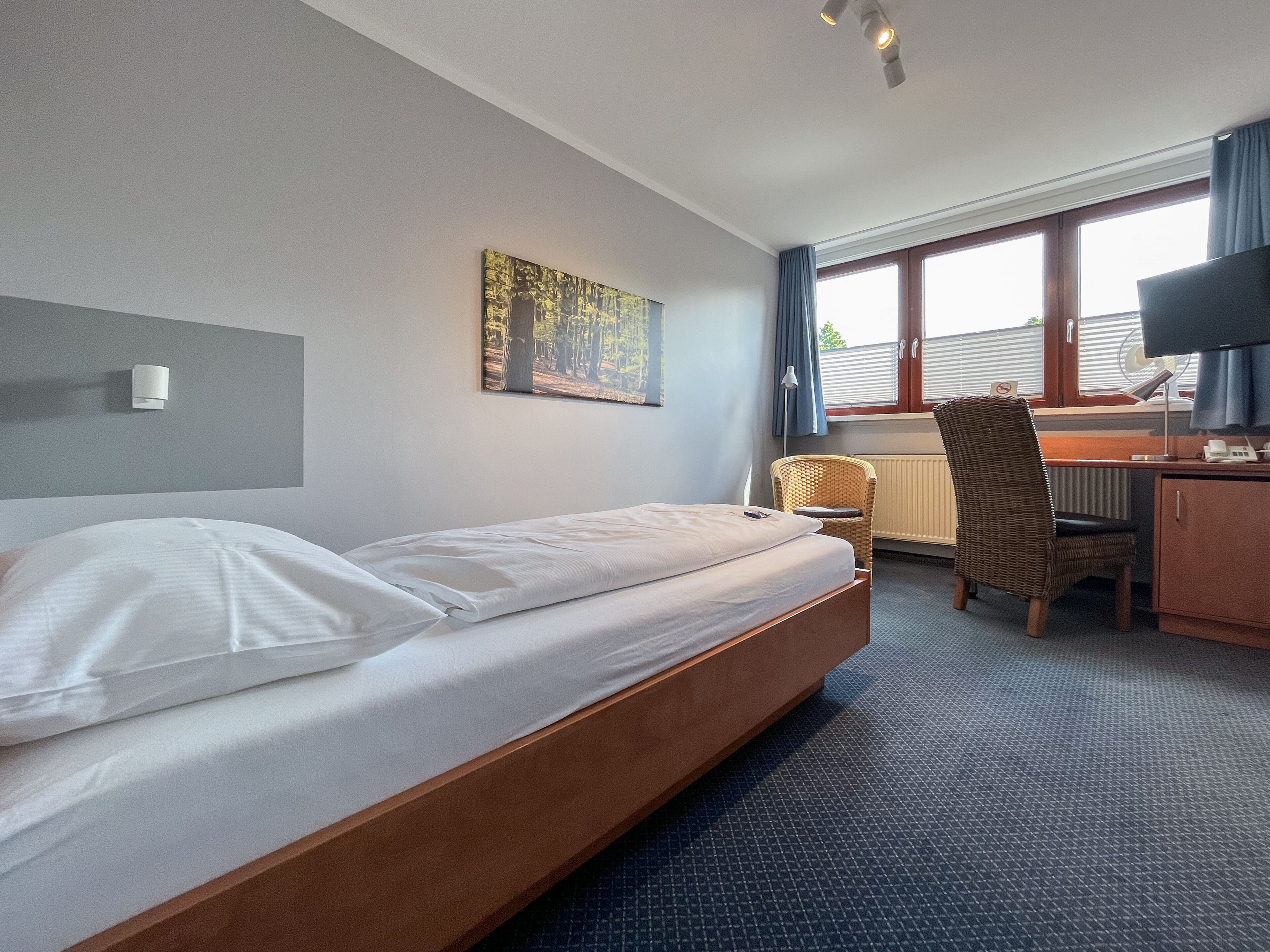 Habitación de hotel con una cama individual, un escritorio con silla, televisor y ventana con cortinas.
