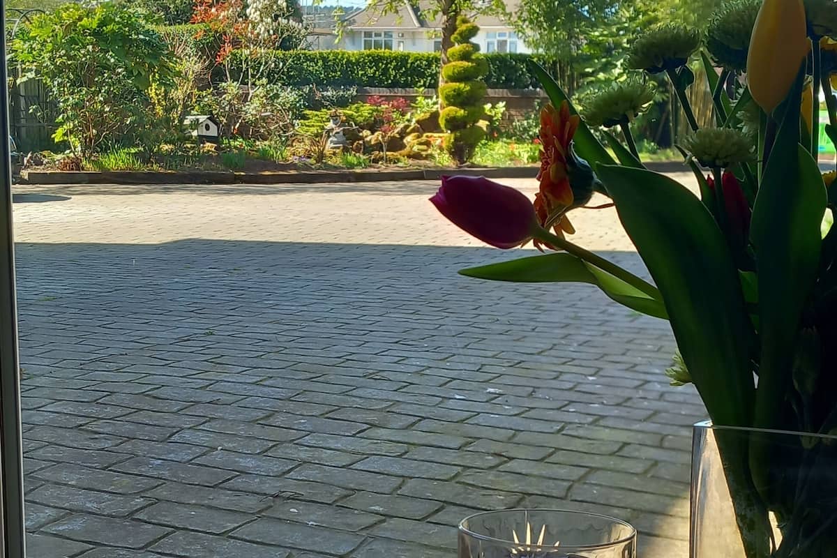 Comfort-Haus, Mehrere Betten, Gartenblick | Wohnbereich