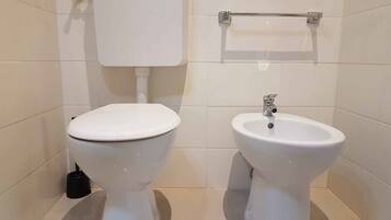 Shower, hair dryer, bidet, towels