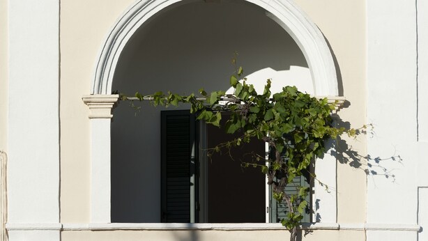 Una ventana arqueada con una puerta, enmarcada por una pared blanca.