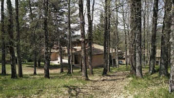 Esterni