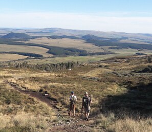 Immagine non classificata, 5 di 8, pulsante