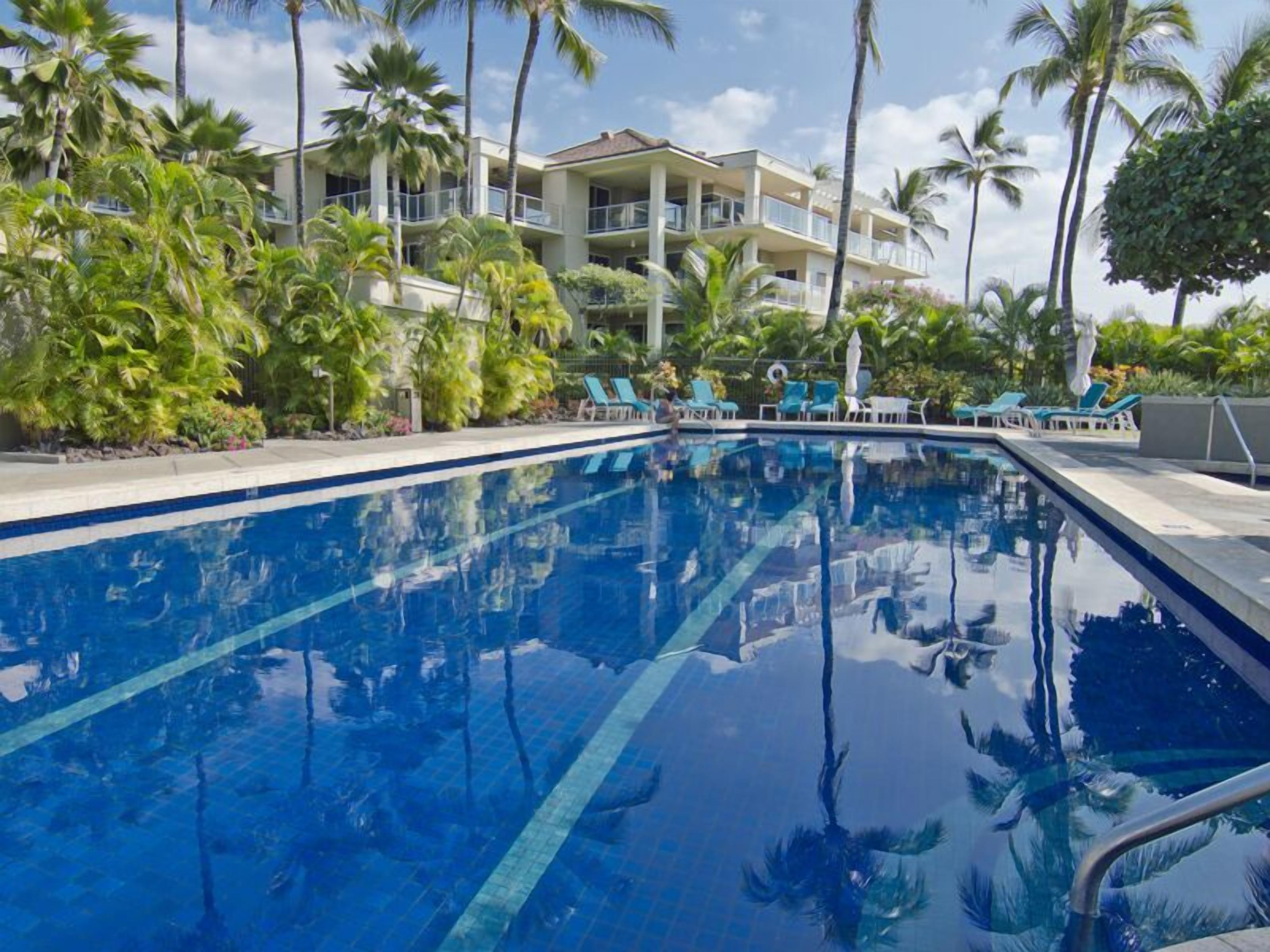 Une piscine à l’eau d’un bleu cristallin, entourée de chaises longues et de palmiers.