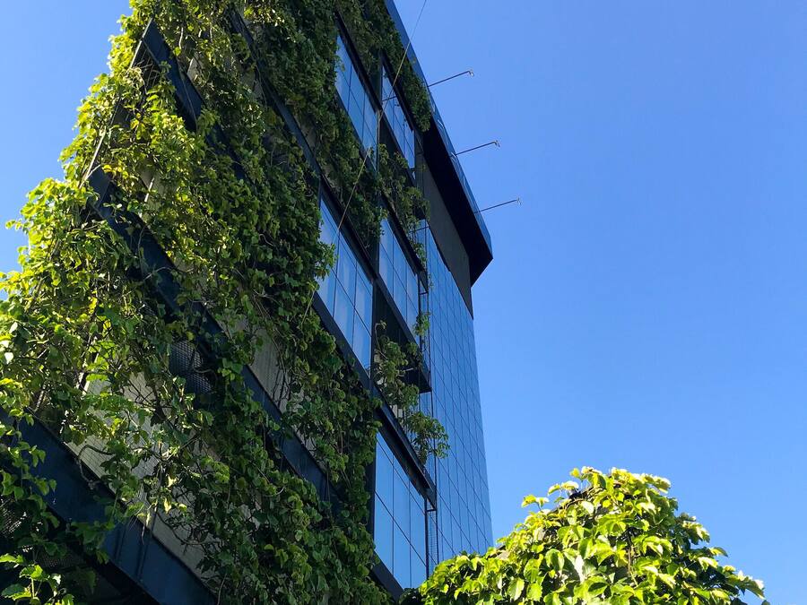 A modern building with a glass facade partially covered by green ivy.