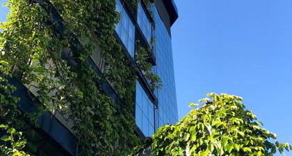 Naalt Hotel Joinville