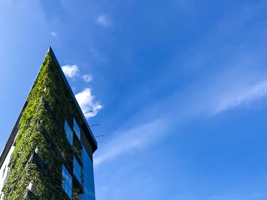A building with a modern design, featuring a glass facade and a unique green ivy-covered exterior.