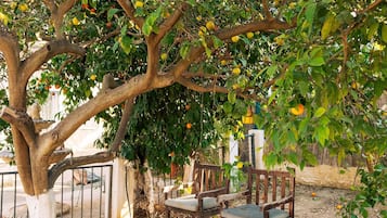 Terrazza/patio