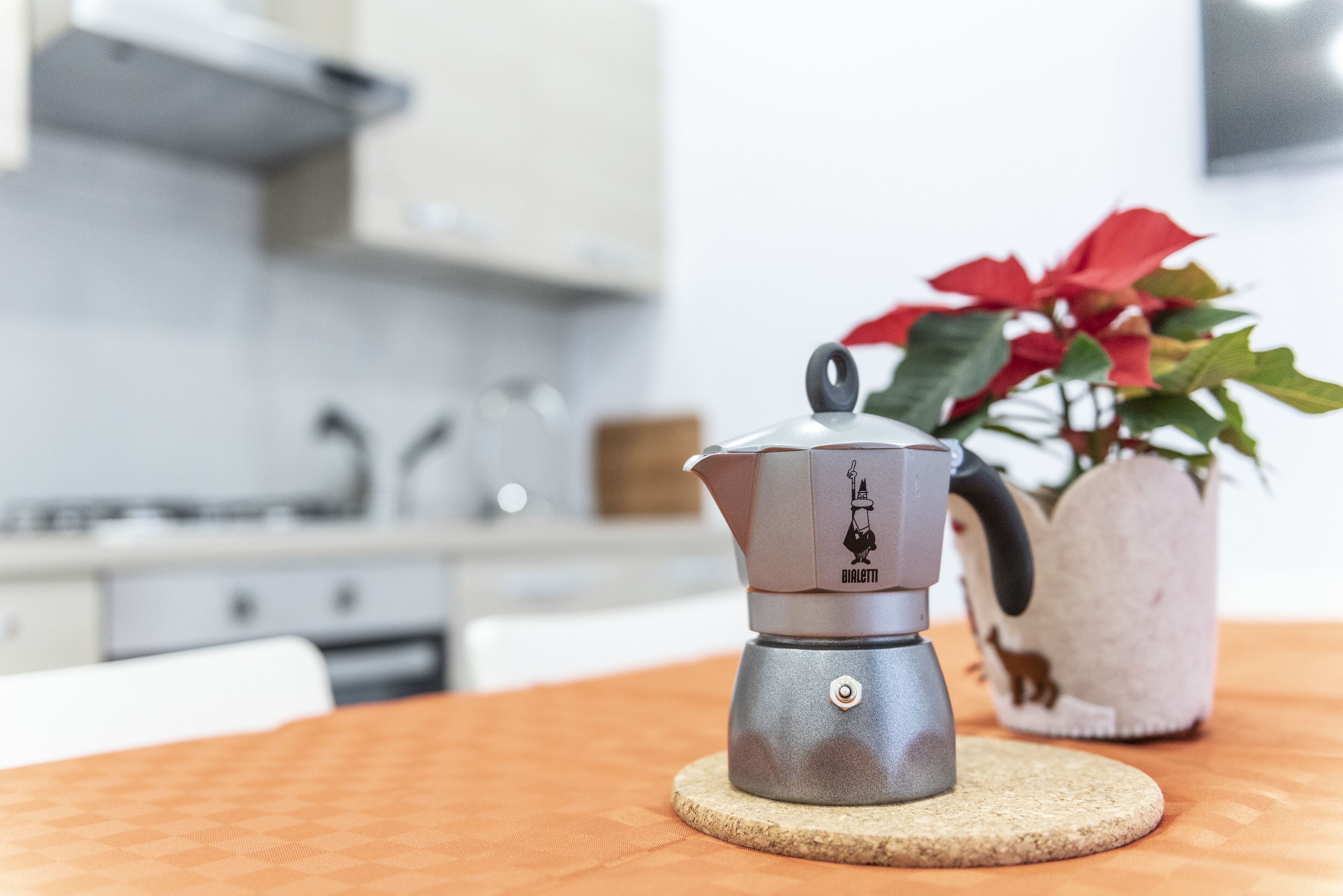 Horno y parrilla de estufa 