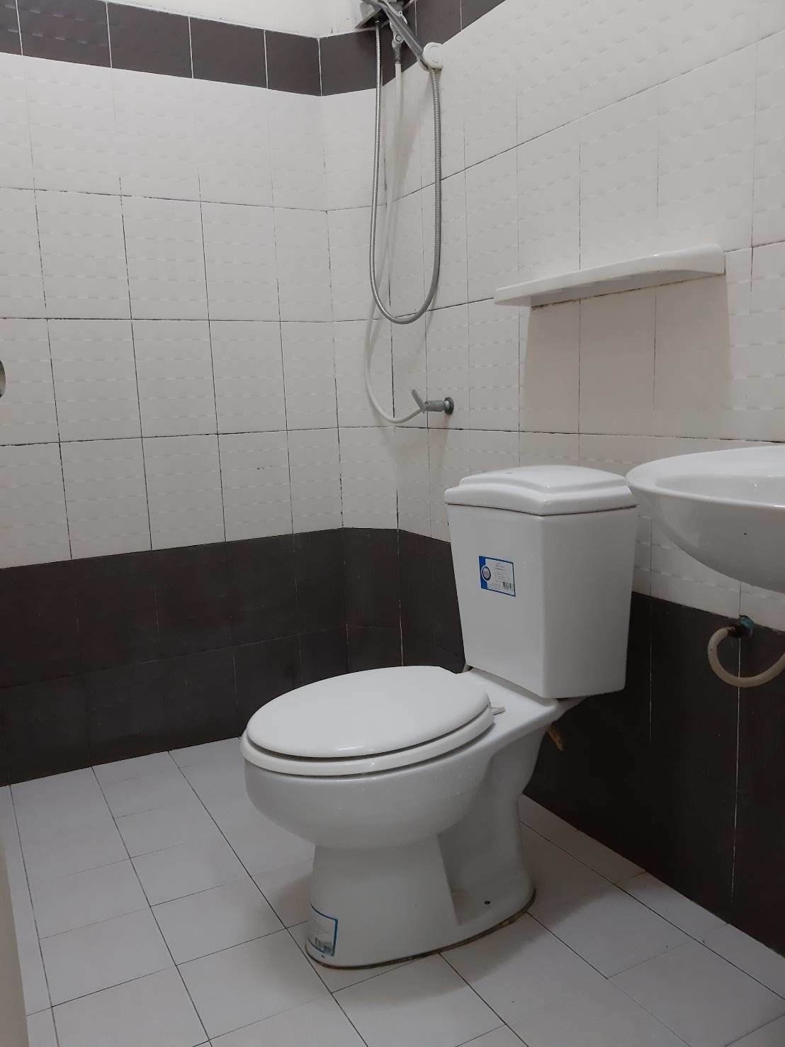 A bathroom with a white toilet, a shower, and a sink.