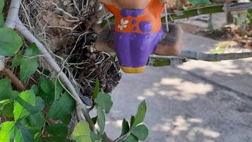 A hanging decorative figure with a face, wearing a purple and orange outfit, attached to a tree.