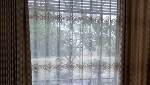 Uma janela com cortina estampada e vista para uma árvore e um deck de madeira.