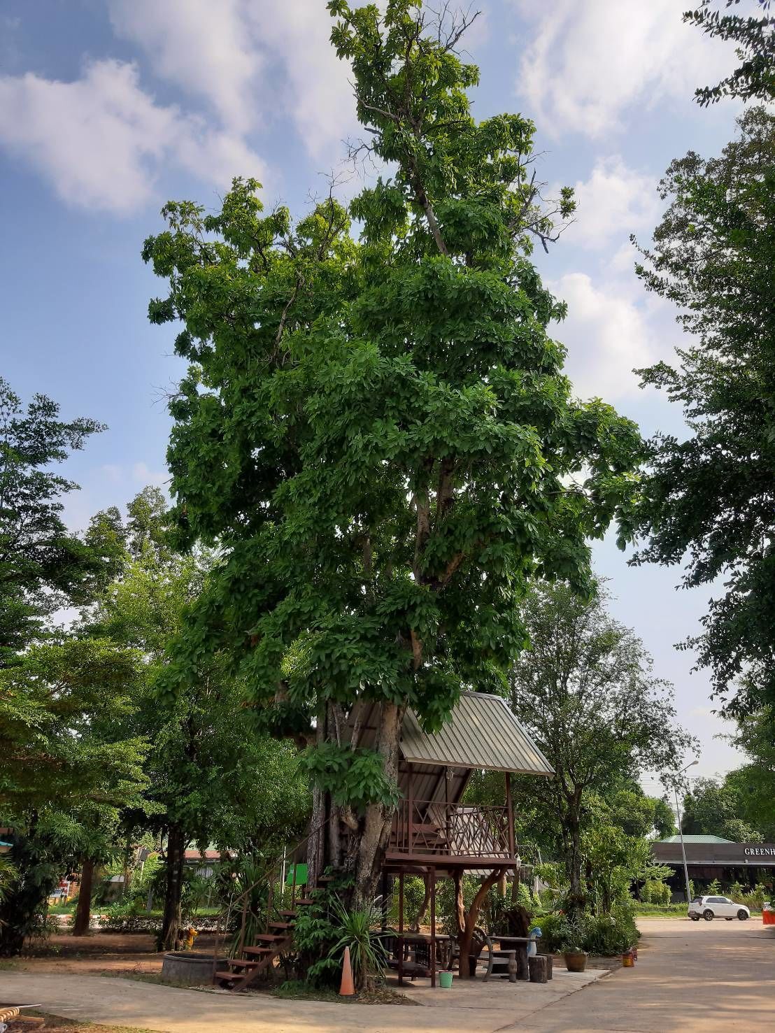 Khuôn viên nơi lưu trú