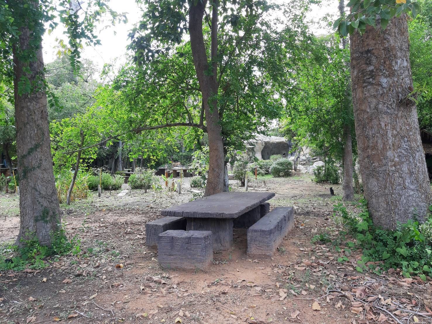 A rustic outdoor seating area with a stone table and benches, surrounded by trees and natural vegetation.