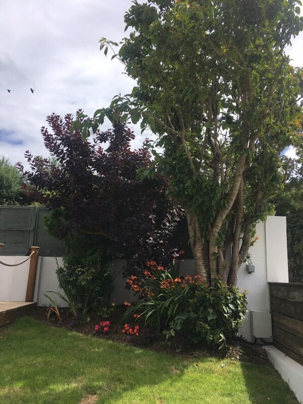 Um jardim com uma grande árvore, uma parede branca e uma cerca de madeira.