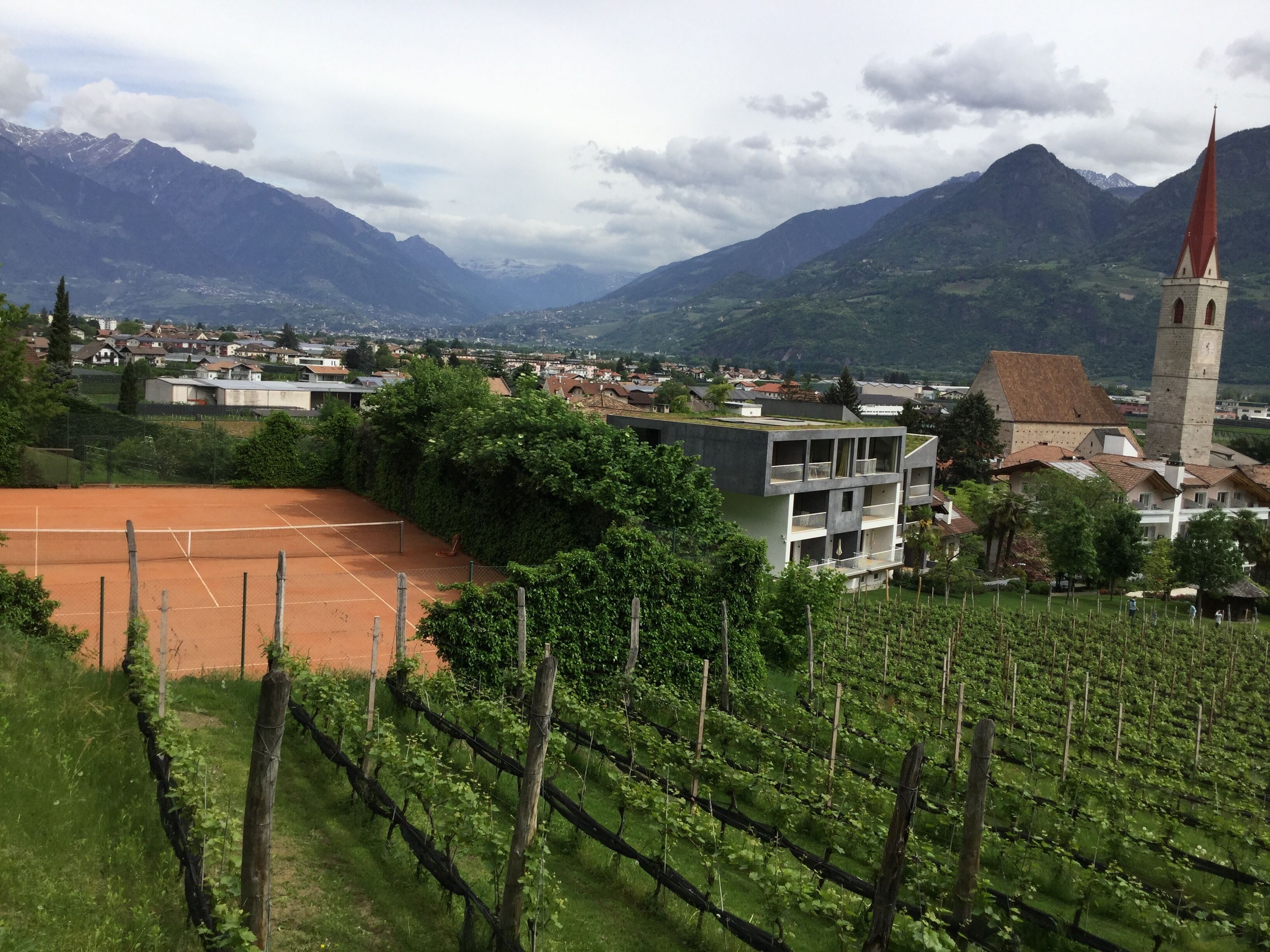 A vineyard with rows of grapevines, a tennis court, and a church with a tall tower.