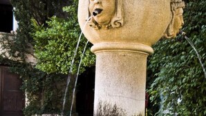 Une fontaine en pierre ornée d’une tête de lion, entourée d’un bassin et de verdure.