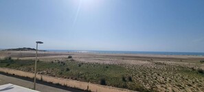 A coastal landscape with a clear sky, a sandy beach, and sparse vegetation.