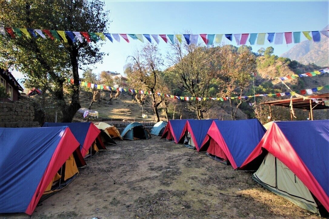 A row of colorful tents set up in a campsite with a dirt ground and trees in the background.