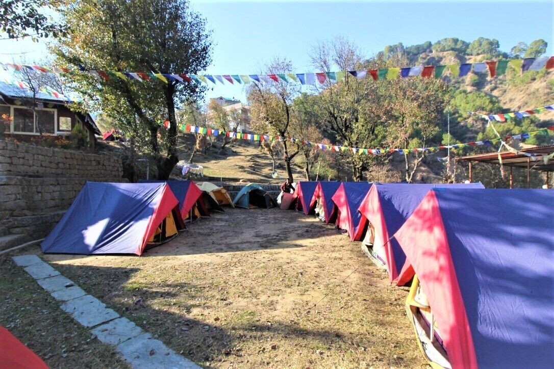 Una hilera de carpas coloridas instaladas en un campamento, con un muro de piedra y árboles al fondo.