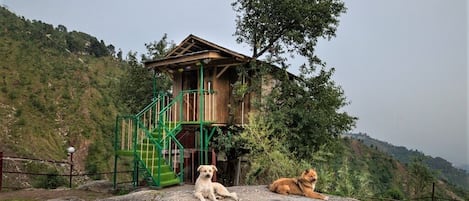 Baumhaus | Blick auf die Berge