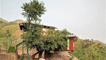 Tree House | Vue sur le jardin