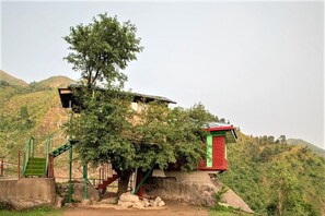 Casa de árbol | Vista al jardín