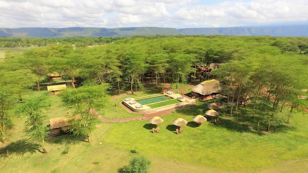 Vista aérea de un complejo turístico con piscina, edificios de techo de paja y exuberante vegetación.