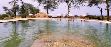 Piscine extérieure, parasols de plage, chaises longues