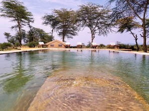 Outdoor pool, pool umbrellas, pool loungers - Africa Safari Camping Mto wa Mbu (Lake Manyara National Park)