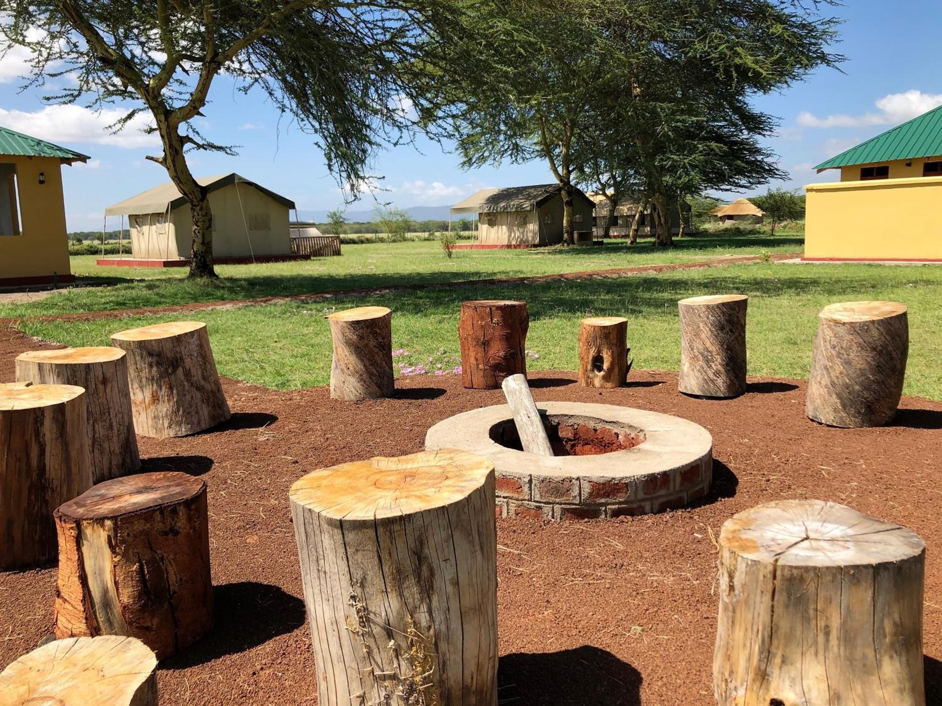 A rustic outdoor area with wooden stumps arranged in a circle, surrounded by a grassy field and a few buildings in the background.