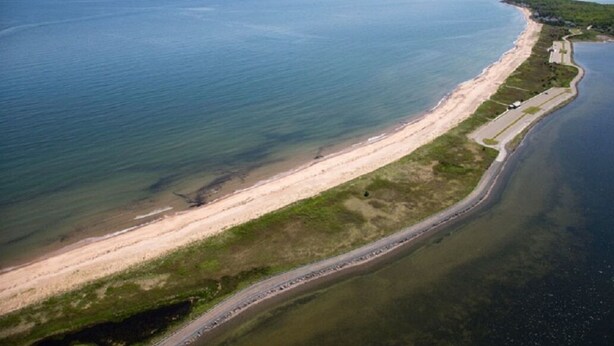 Vista aérea de una carretera costera con playa y zona boscosa adyacente.