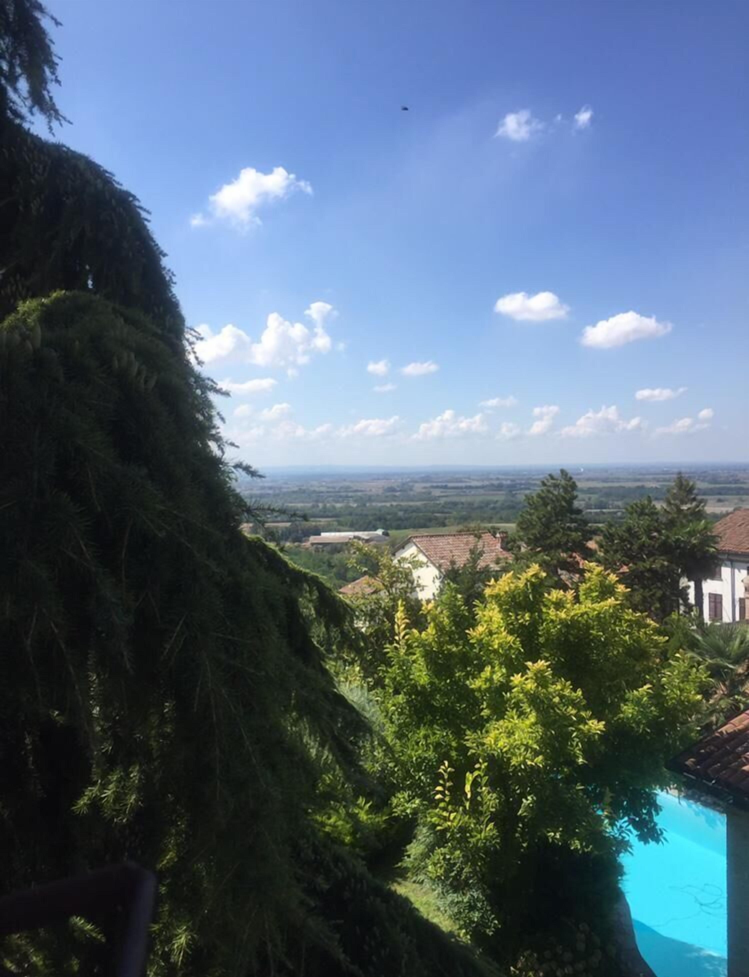 Une piscine entourée d’une végétation luxuriante, avec un ciel bleu dégagé en toile de fond.