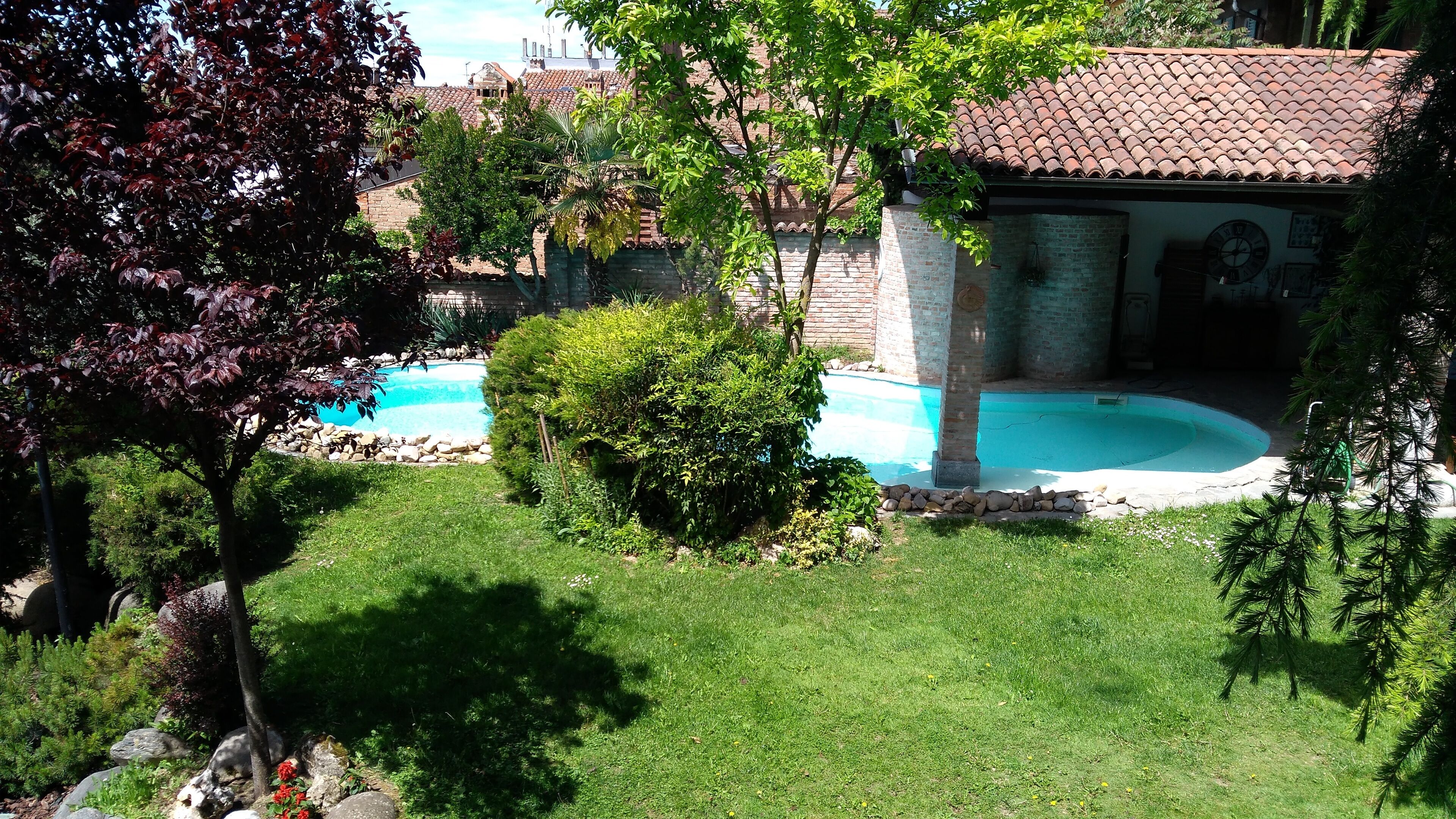 A backyard with a swimming pool, surrounded by well-maintained grass and various trees.