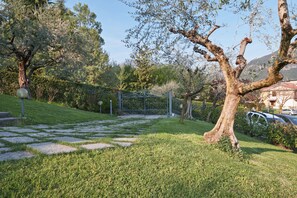 Jardin
