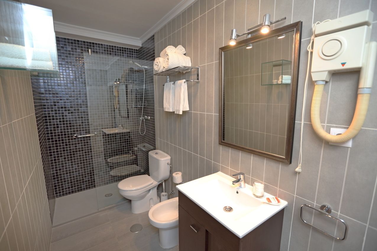 Appartement, 1 tweepersoonsbed met slaapbank | Badkamer | Een douche, een haardroger, handdoeken, zeep