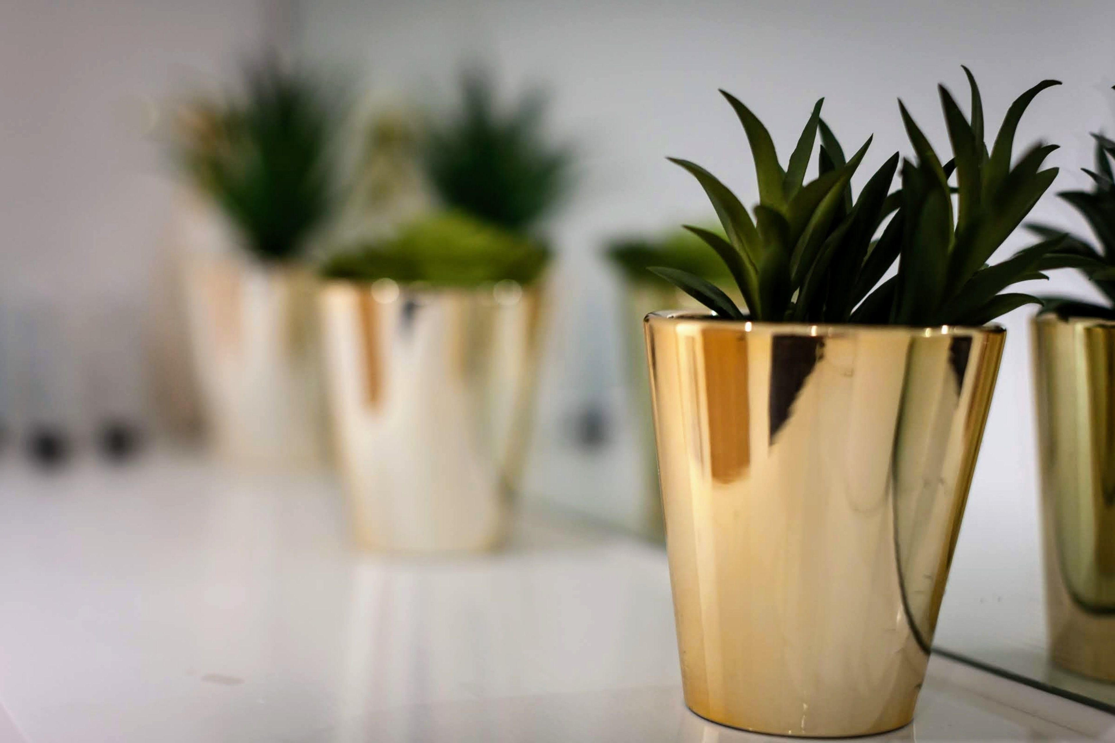 Three gold-colored potted plants on a white surface.